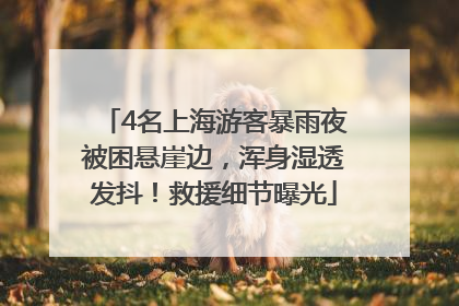 4名上海游客暴雨夜被困悬崖边，浑身湿透发抖！救援细节曝光