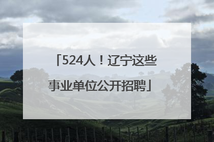 524人！辽宁这些事业单位公开招聘