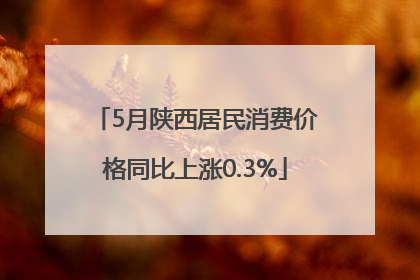 5月陕西居民消费价格同比上涨0.3%