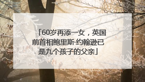 60岁再添一女，英国前首相鲍里斯·约翰逊已是九个孩子的父亲
