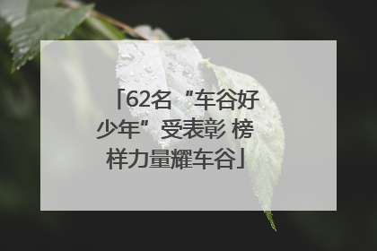 62名“车谷好少年”受表彰 榜样力量耀车谷