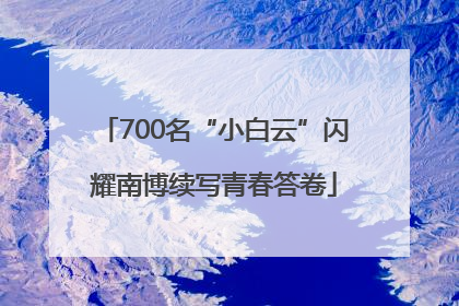 700名“小白云”闪耀南博续写青春答卷