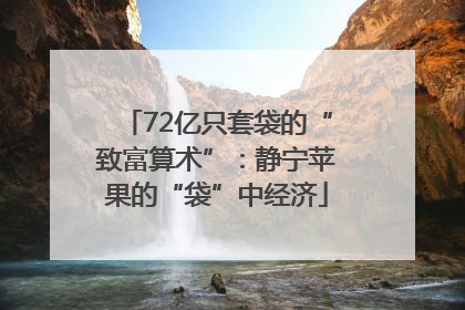 72亿只套袋的“致富算术”：静宁苹果的“袋”中经济