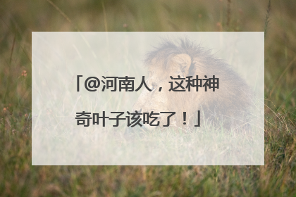 @河南人，这种神奇叶子该吃了！