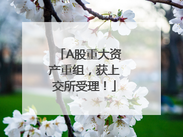 A股重大资产重组，获上交所受理！