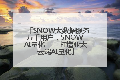 SNOW大数据服务万千用户，SNOW AI量化——打造亚太云端AI量化